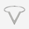 Single V-Ring